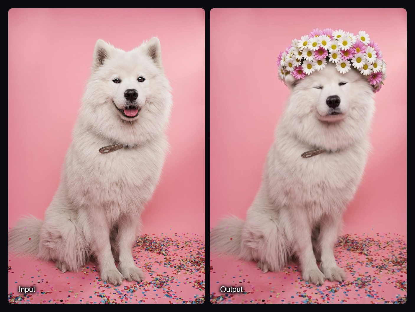 The input image on the left and a frame of the video Sloosh's Pet Hairstyle Makeover Space made from it on the right: a white Samoyed in a daisy crown on a pink backdrop.