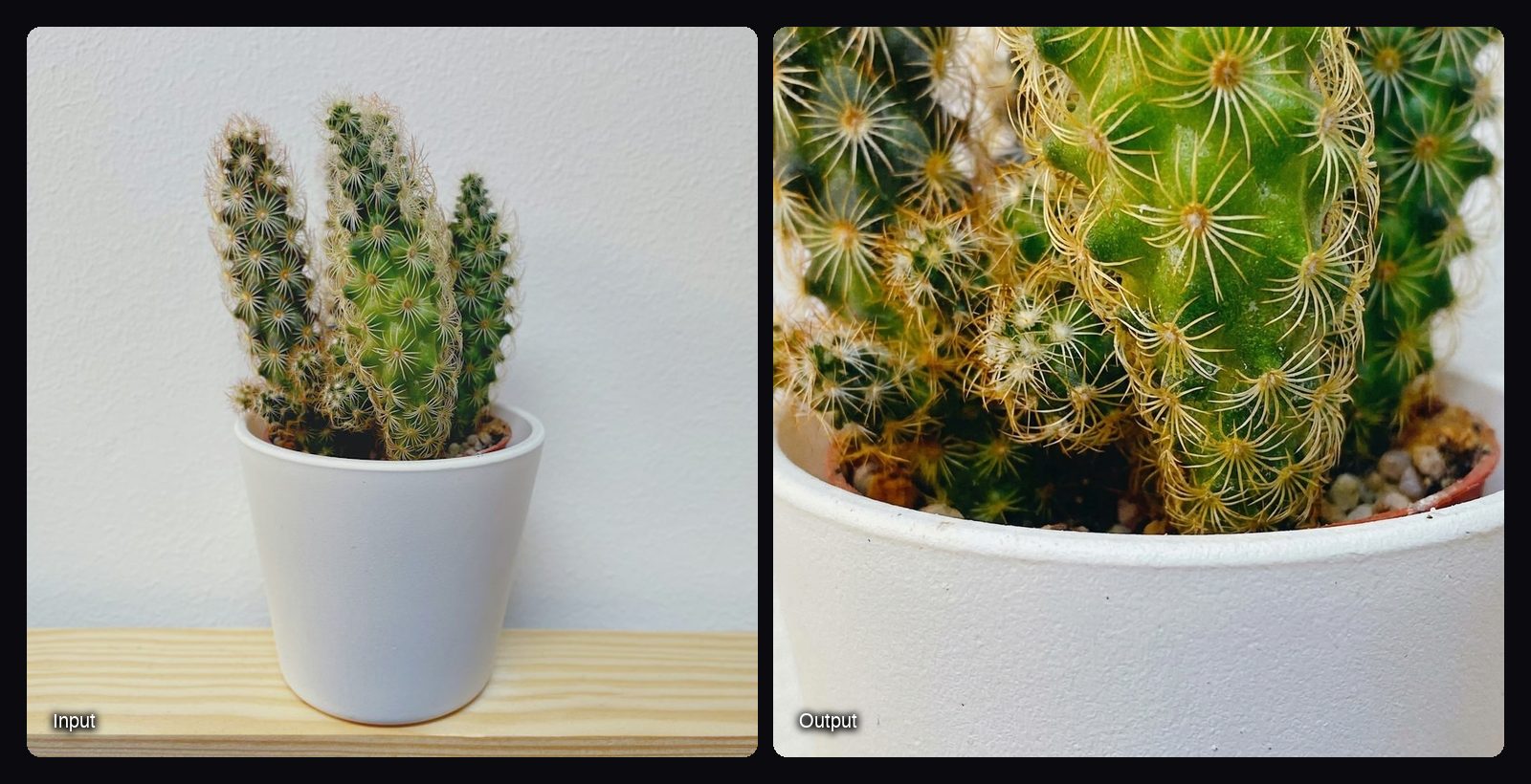 The input image on the left and the result from Sloosh's Amazon Listing Pack Space on the right: green cactus in a white pot.